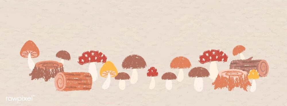 bored.mushroom